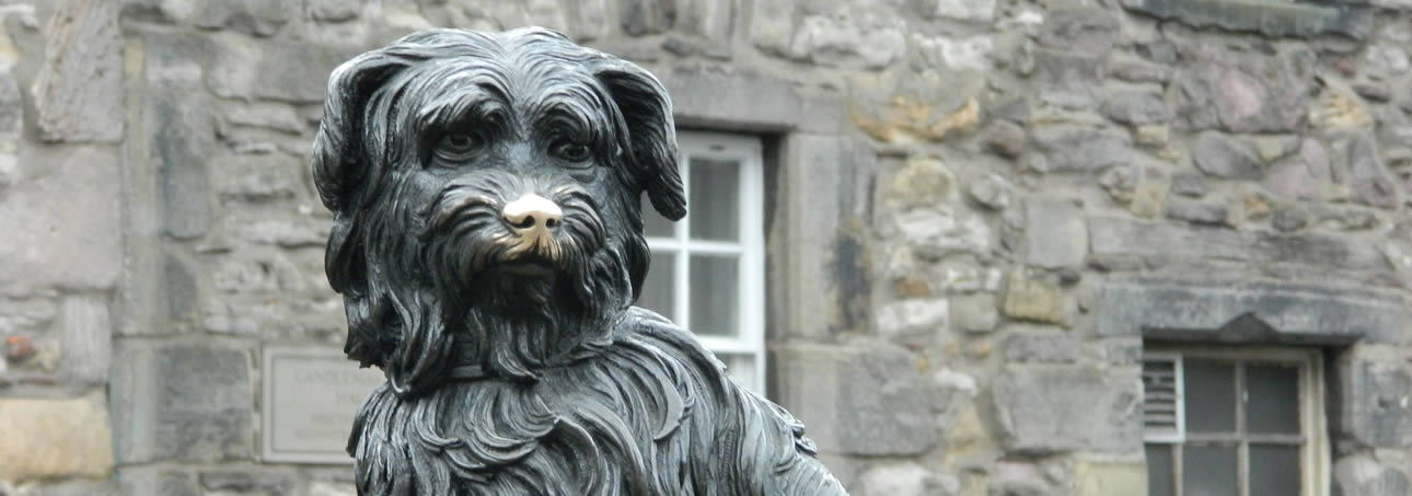 Greyfriers Bobby